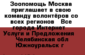 Зоопомощь.Москва приглашает в свою команду волонтёров со всех регионов - Все города Интернет » Услуги и Предложения   . Челябинская обл.,Южноуральск г.